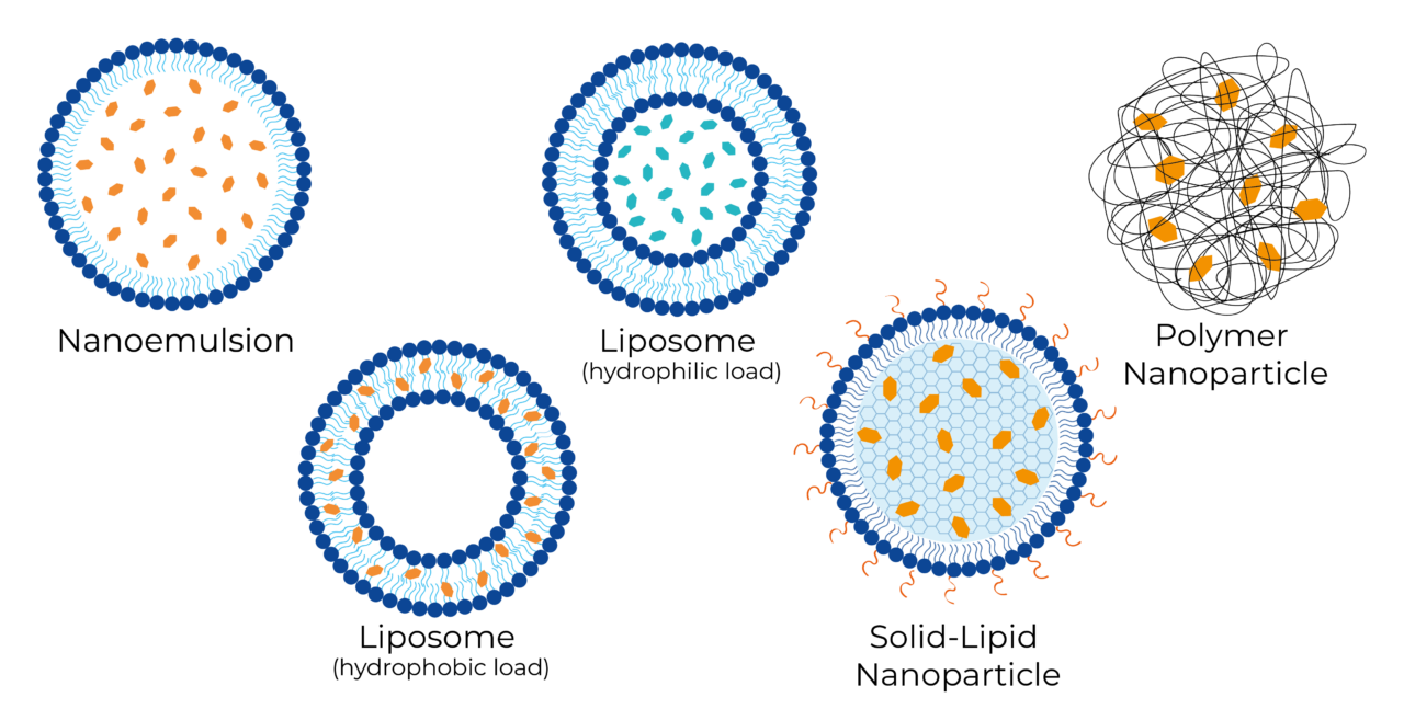 Introduction To Polymer Nanoparticles For Drug Delivery | Ascension ...