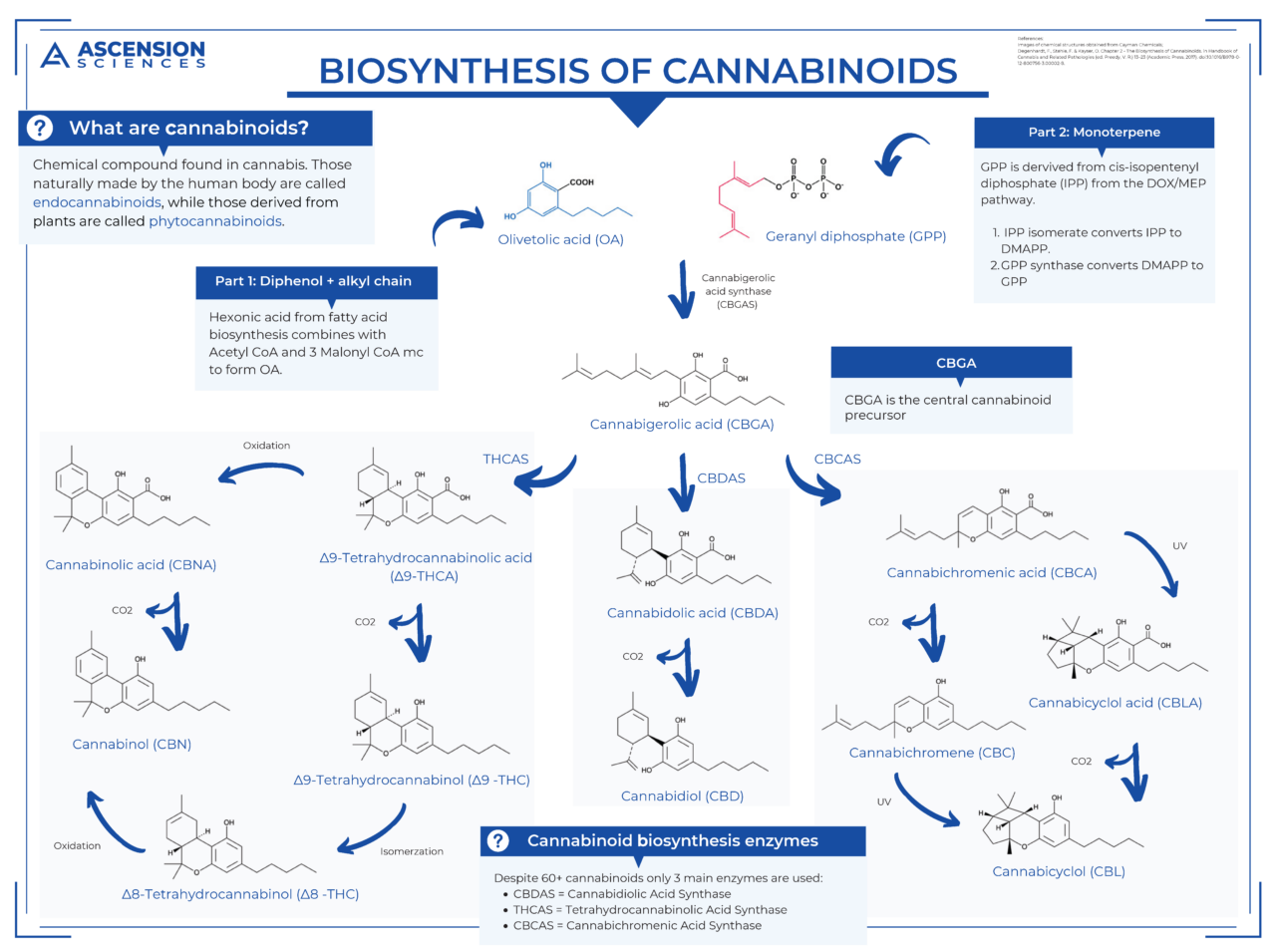 Biosynthesis Of Cannabinoids | Ascension Sciences